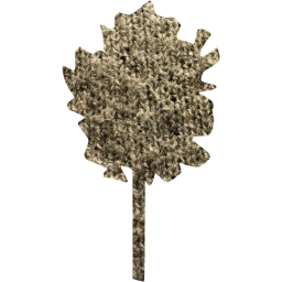 tree 12 icon