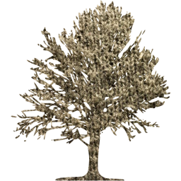 tree 18 icon