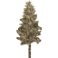 tree 19