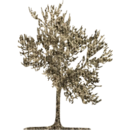 tree 23 icon