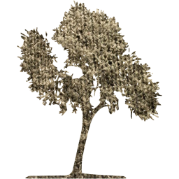 tree 33 icon