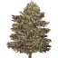 tree 36