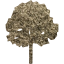 tree 4