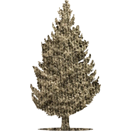 tree 55 icon
