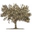 tree 59