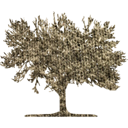 tree 59 icon