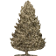 tree 64