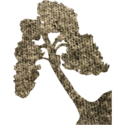 tree 67 icon
