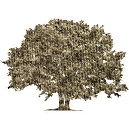 tree 78 icon