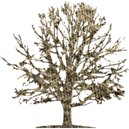 tree icon