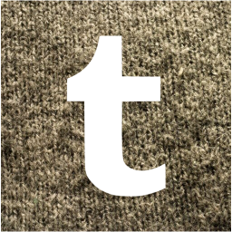 tumblr 2 icon