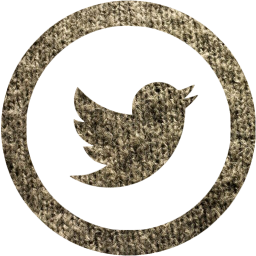 twitter 5 icon