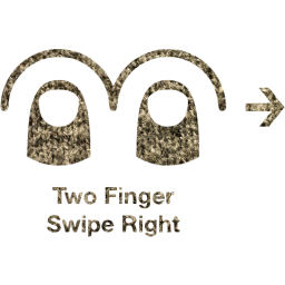 two finger swipe right 2 icon