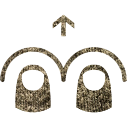 two finger swipe up icon