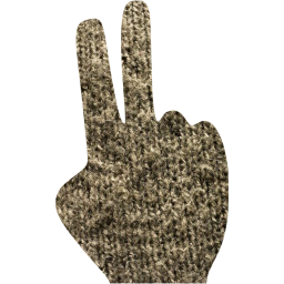 two fingers icon