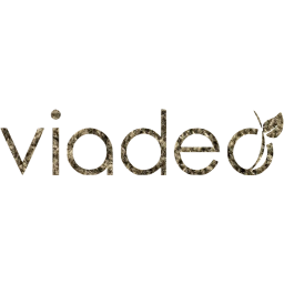 viadeo 2 icon