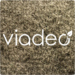 viadeo 4 icon