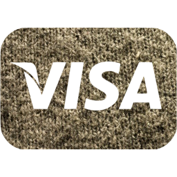 visa icon