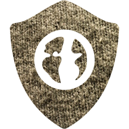 web shield icon
