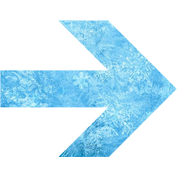 arrow 21 icon