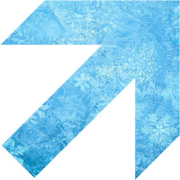 arrow 304 icon