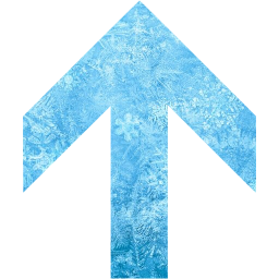 arrow 315 icon