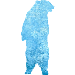 bear icon
