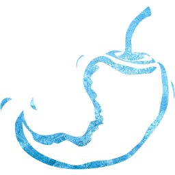 chili pepper 18 icon