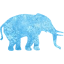 elephant 5