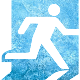 exit icon