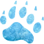 footprints bear