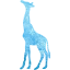 giraffe 2