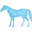 horse 4