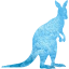 kangaroo