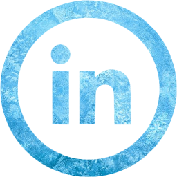 linkedin 5 icon