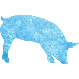 pig 7 icon