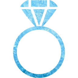 ring 2 icon