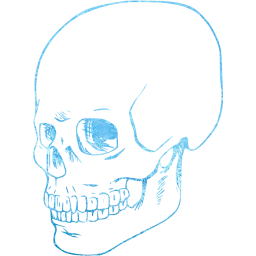 skull 38 icon