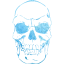 skull 41