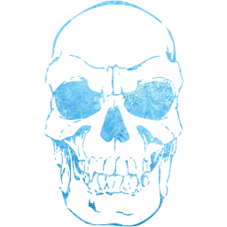 skull 41 icon