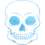 skull 55