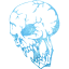 skull 9