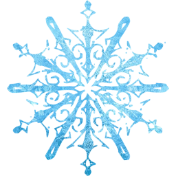 snowflake 10 icon