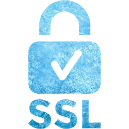 ssl badge 2 icon