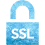 ssl badge 4