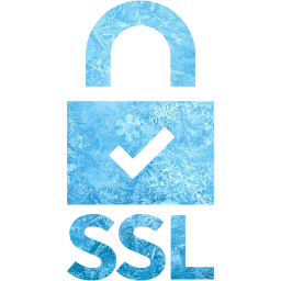 ssl badge 5 icon