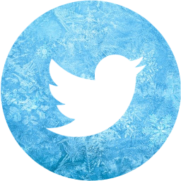 twitter 4 icon