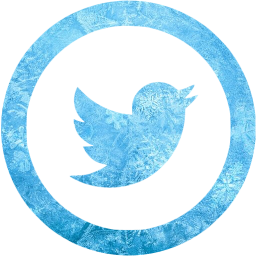 twitter 5 icon