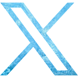 twitter x icon