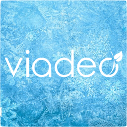 viadeo 4 icon